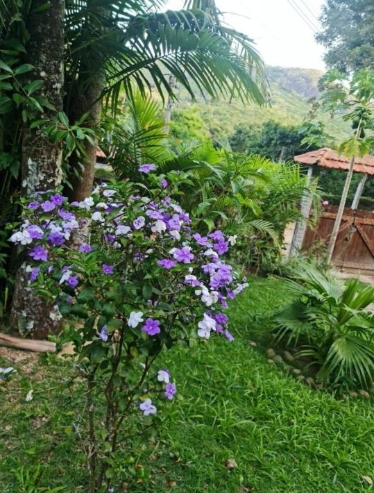 Sitio Borges Villa เปโตรโปลิส ภายนอก รูปภาพ